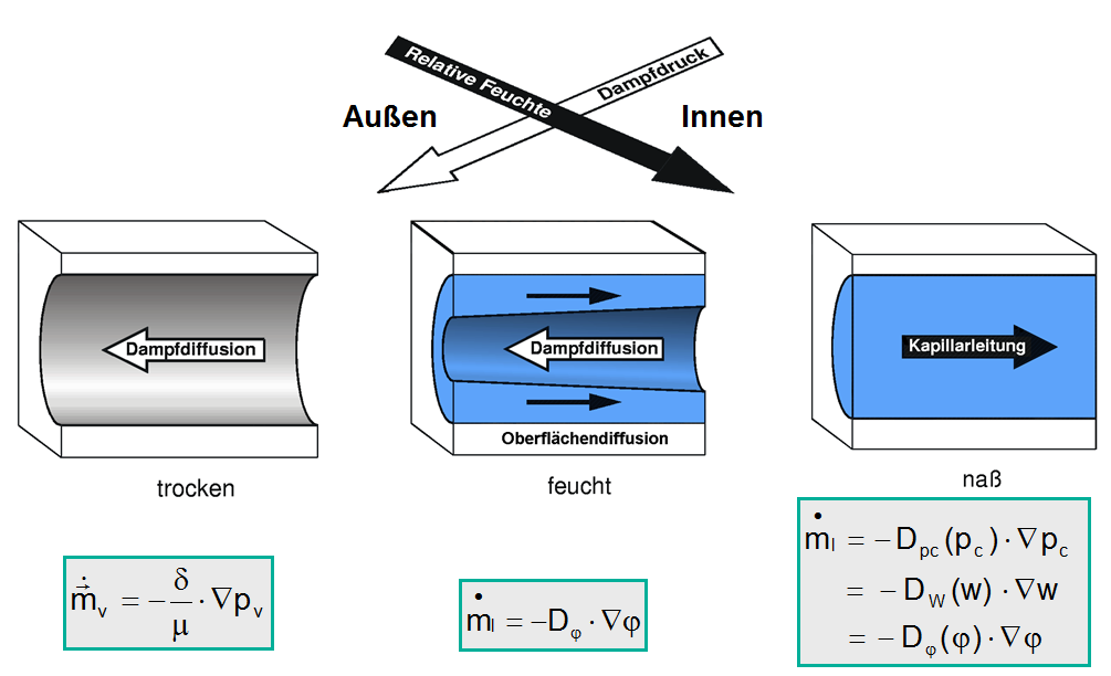 kapillartransport.png