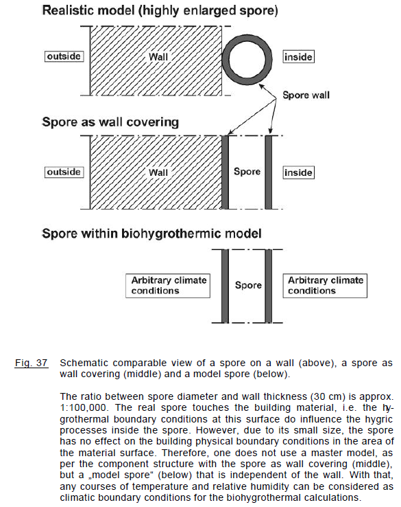 Sedlbauer, 2001, Prediction of mould fungus formation on the surface and inside building components